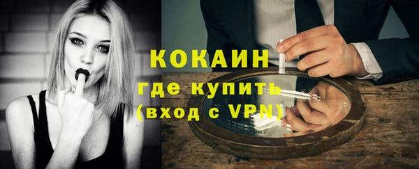 метадон Богданович