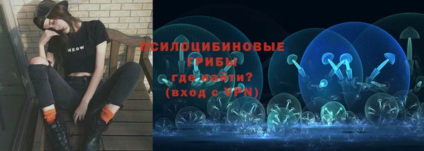 эйфоретик Богородицк