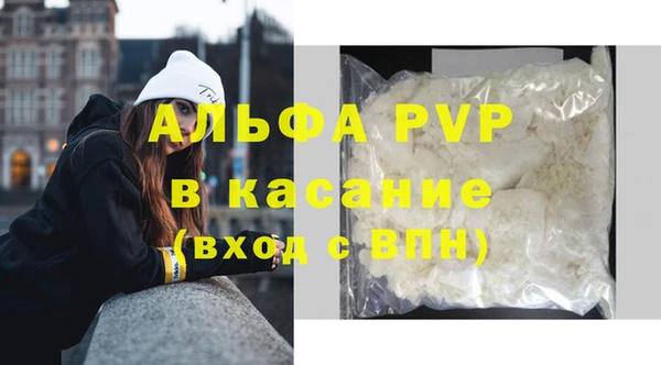 метадон Богданович