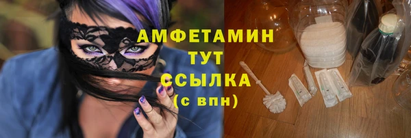 метадон Богданович