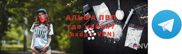 метадон Богданович