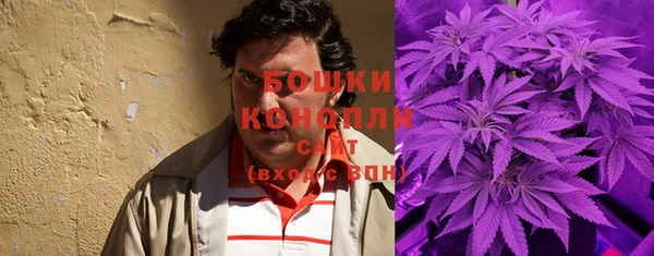 метадон Богданович