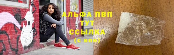 метадон Богданович