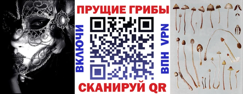 Псилоцибиновые грибы Cubensis  МЕГА как войти  Архангельск 